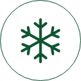 Frozen icon